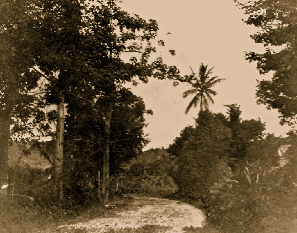 Picture