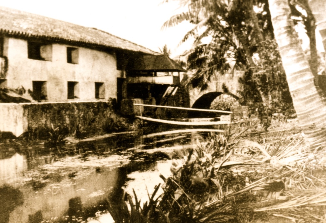 Picture